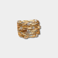 ANILLO | Arbore