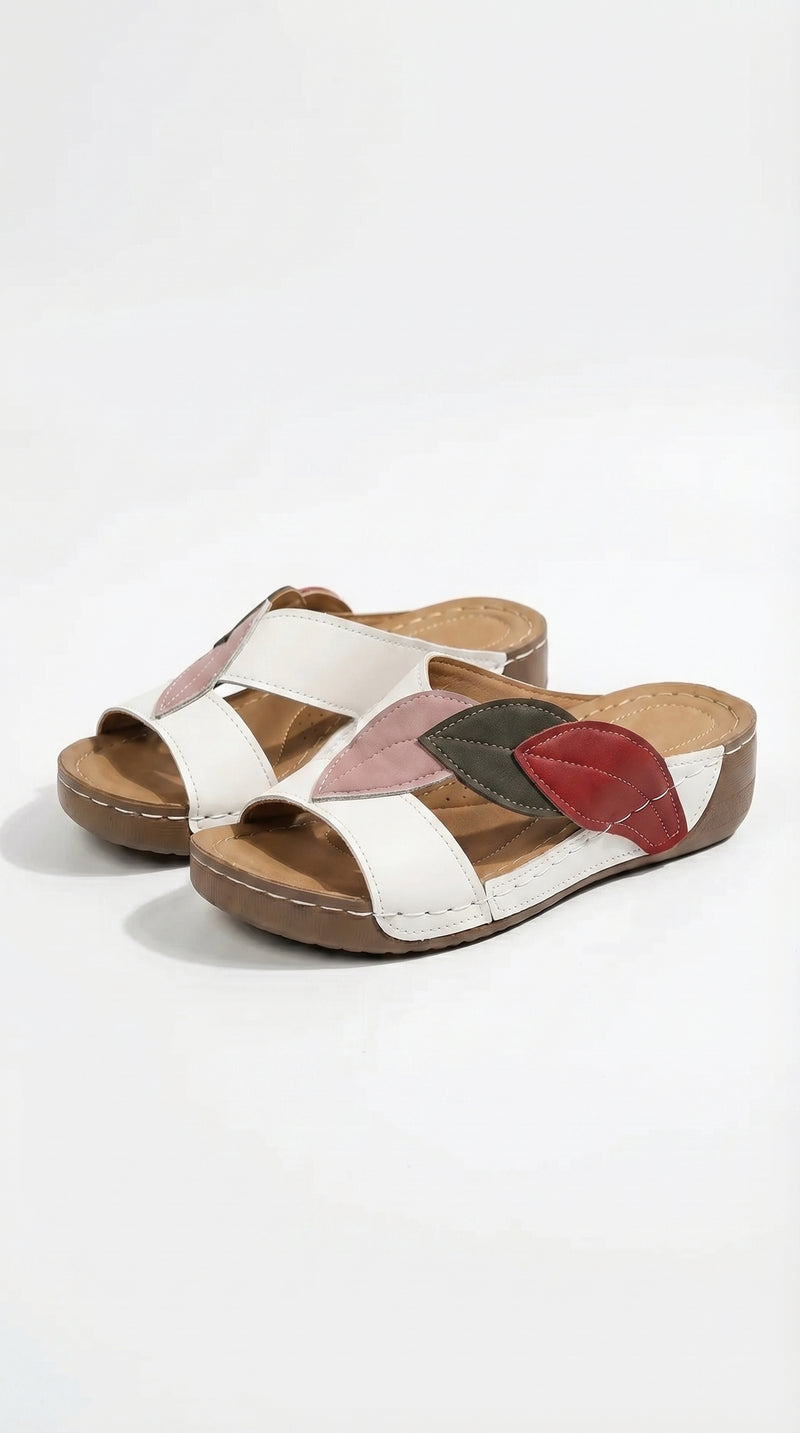 ZAPATO | Clara